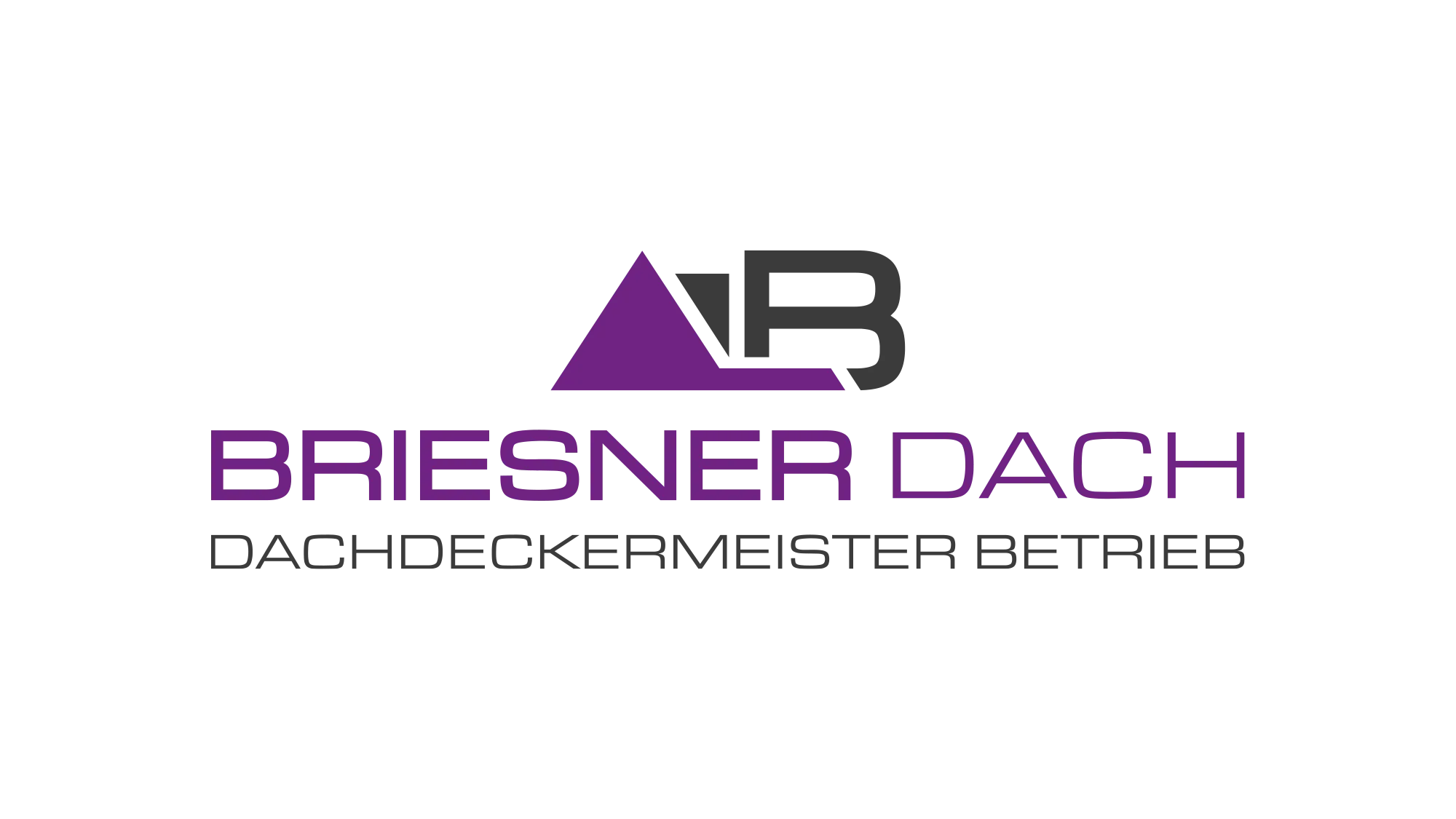 BRIESNER Dach